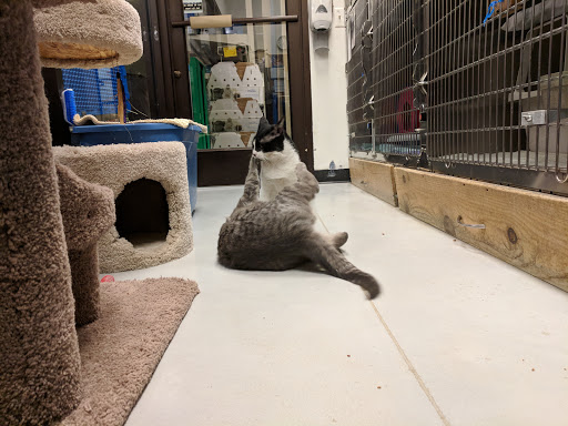 Pet Supply Store «PetSmart», reviews and photos, 220 Commerce Blvd, Fairless Hills, PA 19030, USA