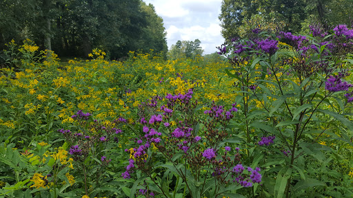 Golf Club «The Hooch Golf Club», reviews and photos, 2705 Peachtree Industrial Blvd, Duluth, GA 30097, USA