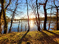 Bois du bord de Vienne Confolens