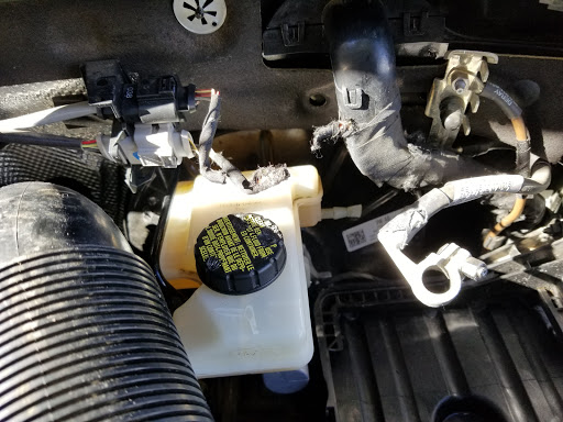 Auto Parts Store «AutoZone», reviews and photos, 2935 McDermott Rd, Plano, TX 75025, USA