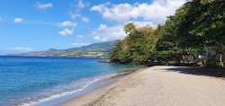Foto di Plage des Raisiniers e il suo bellissimo paesaggio