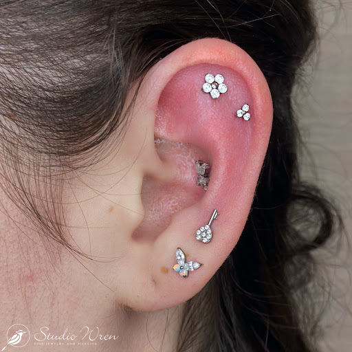 Explore ant tattoo ideas, creative tattoo ideas in Plano, available at Studio Wren Fine Jewelry & Piercing