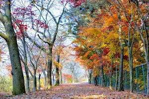 Wonkwang University Botanical Garden Nature image