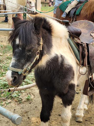 Apple Hill High Hill Ranch image