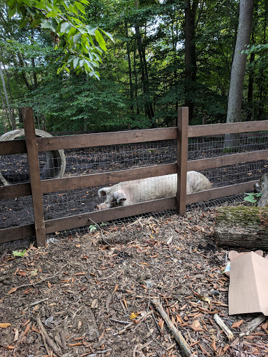 Golf Course «Knob Hill Golf Course», reviews and photos, 1 Shinnecock Dr, Manalapan Township, NJ 07726, USA