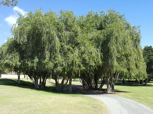 Park «Meadow Park», reviews and photos, 2251 Meadow St, San Luis Obispo, CA 93401, USA