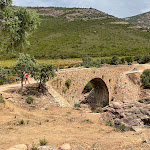 Photo n° 2 de l'avis de P... fait le 22/06/2022 à 11:56 pour La cabane chjarasgiu à Galéria