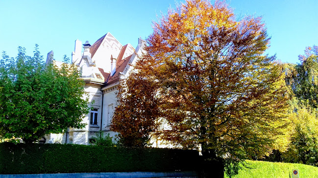 Rezensionen über de l'Ouest in La Chaux-de-Fonds - Schule