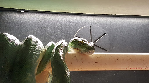 Pet Supply Store «Pet Bazaar», reviews and photos, 490 FL-436, Casselberry, FL 32707, USA