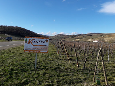 Domaine Koehler Jean-Claude et Fils à Westhalten