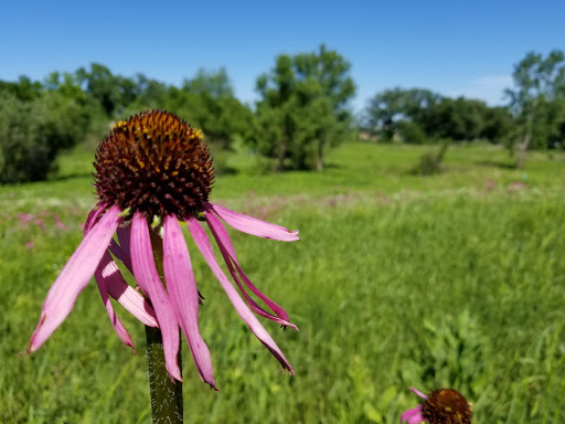Nature Preserve «Hickory Knolls Discovery Center», reviews and photos, 3795 Campton Hills Drive, St Charles, IL 60175, USA