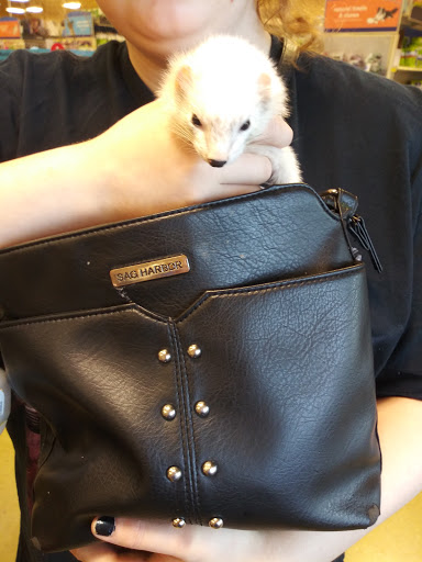 Pet Supply Store «PetSmart», reviews and photos, 2770 FM 365 c, Port Arthur, TX 77640, USA