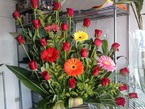 Florería Arlette – Aguascalientes