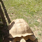 Photo n° 1 de l'avis de Magali. fait le 03/05/2023 à 15:15 pour Exotic Park, zoo de Lescar à Lescar