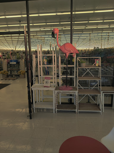 Craft Store «Hobby Lobby», reviews and photos, 3178 Lavon Dr, Garland, TX 75040, USA