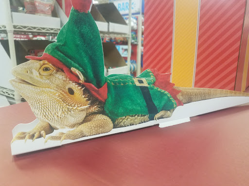 Pet Supply Store «PetSmart», reviews and photos, 19320 Nordhoff Way, Northridge, CA 91324, USA