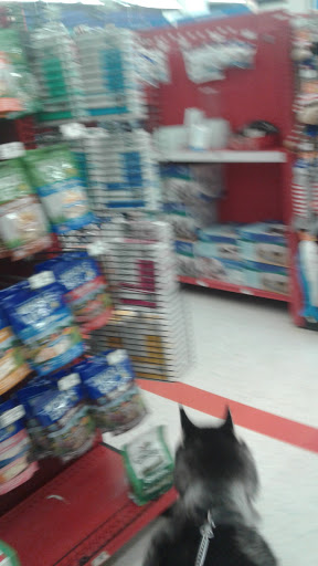 Pet Supply Store «Petco Animal Supplies», reviews and photos, 1049 S Willow St, Manchester, NH 03103, USA