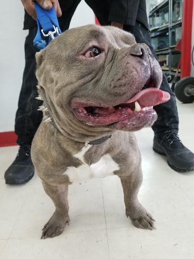 Shopping Mall «Hampton Plaza Shopping Center», reviews and photos, 4033 W Mercury Blvd, Hampton, VA 23666, USA