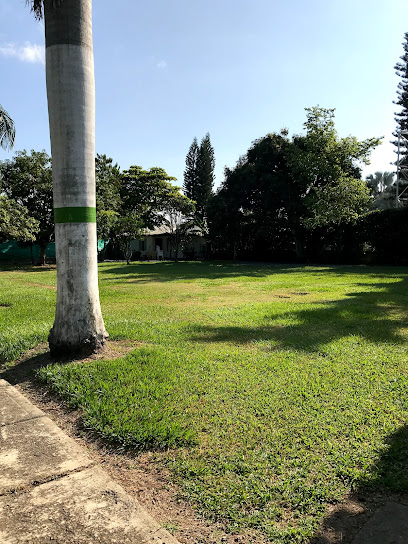 Colegio Villa de Ampudia