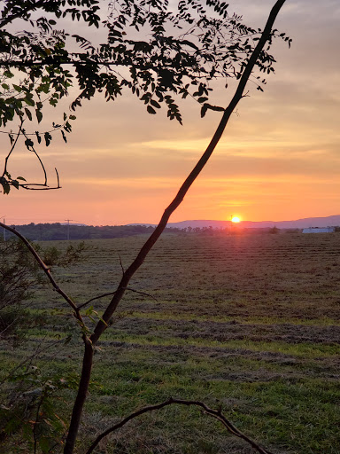 Event Planner «The Family Drive in Theatre», reviews and photos, 5890 Valley Pike, Stephens City, VA 22655, USA