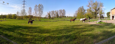 EARL Bras de Fer à Civrac-de-Blaye