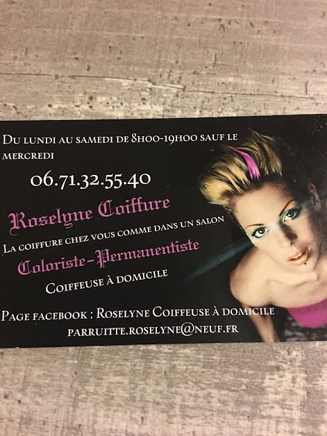 Parruitte Roselyne Villeneuve-Saint-Germain