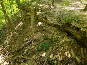 Earl H Barnhart Buzzards Roost Nature Preserve - photo 43