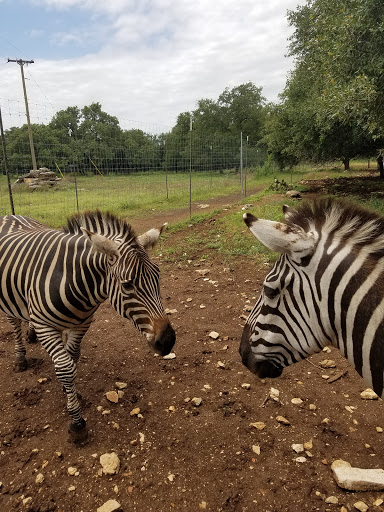Tourist Attraction «Inner Space Cavern», reviews and photos, 4200 I-35, Georgetown, TX 78626, USA