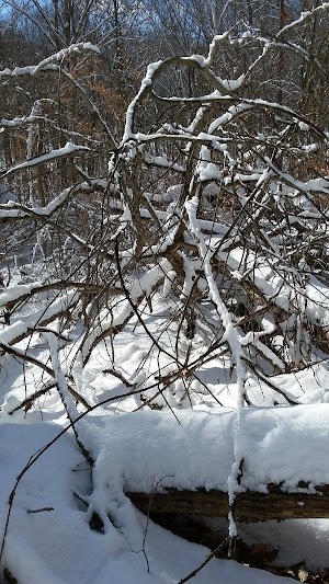 Schoolhouse Brook Park - photo 46