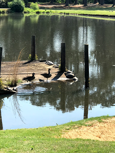 Golf Course «Creekside Golf & Country Club», reviews and photos, 591 Westchester Club Dr, Hiram, GA 30141, USA