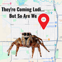 Integrity Pest Control - Photo 6 - Car repair in , Stockton