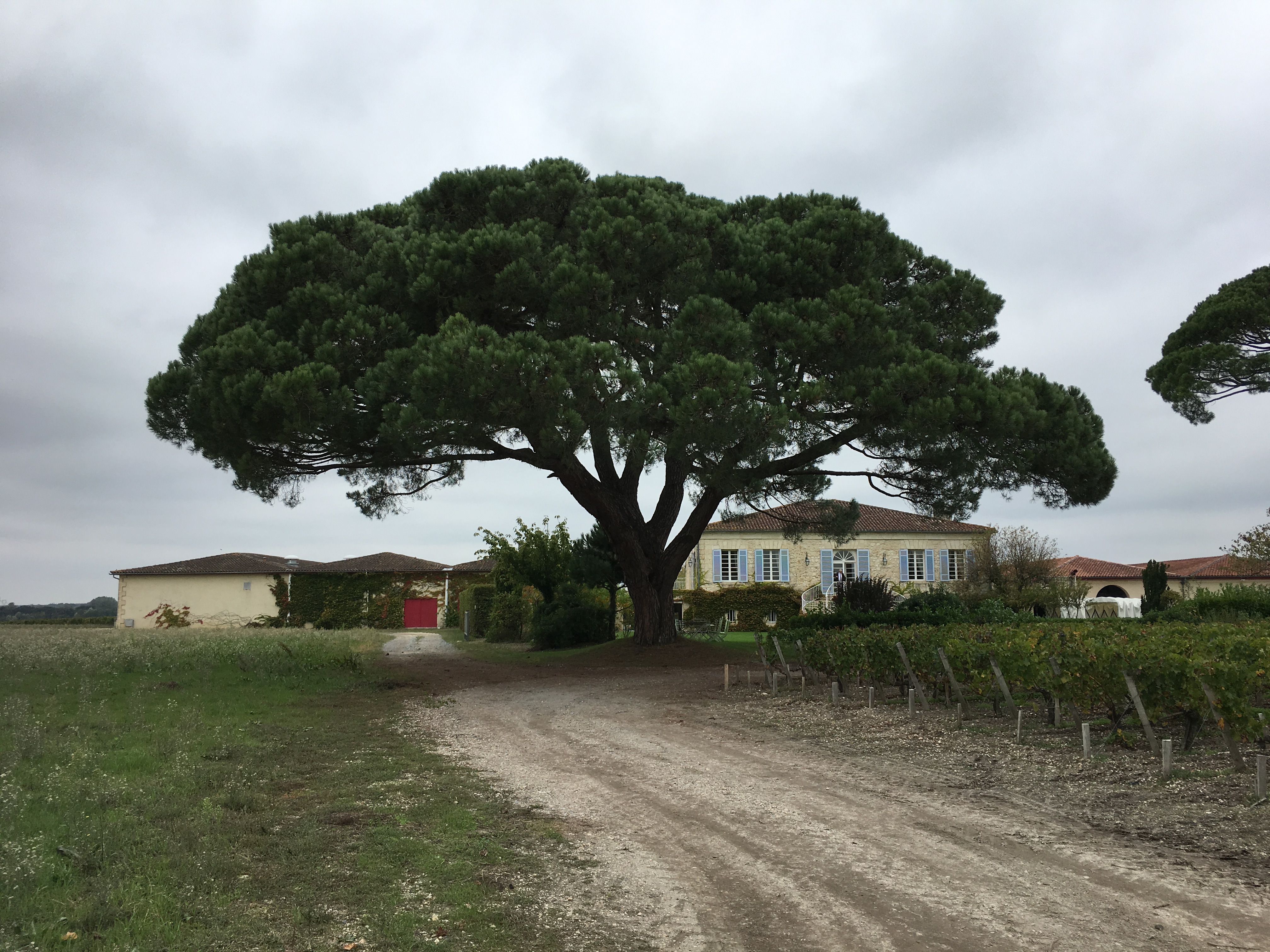 Photo n° 3 de l'avis de Philip.h fait le 30/09/2019 à 02:47