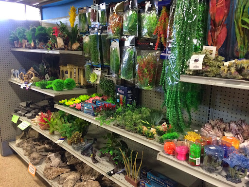 Pet Store «The Pet Shop», reviews and photos, 2235 S Power Rd #107, Mesa, AZ 85209, USA