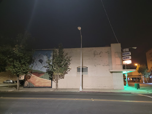 Tattoo Shop «Sacred Tiki Tattoo Studio», reviews and photos, 129 S Church St, Visalia, CA 93291, USA