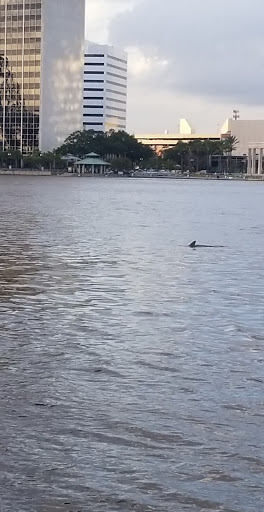 Tourist Attraction «Southbank Riverwalk», reviews and photos, 1001 Museum Cir, Jacksonville, FL 32202, USA