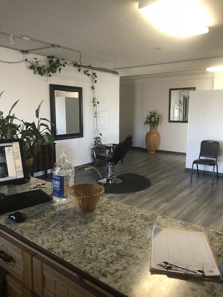 Eyebrow Art Santa Fe 87507