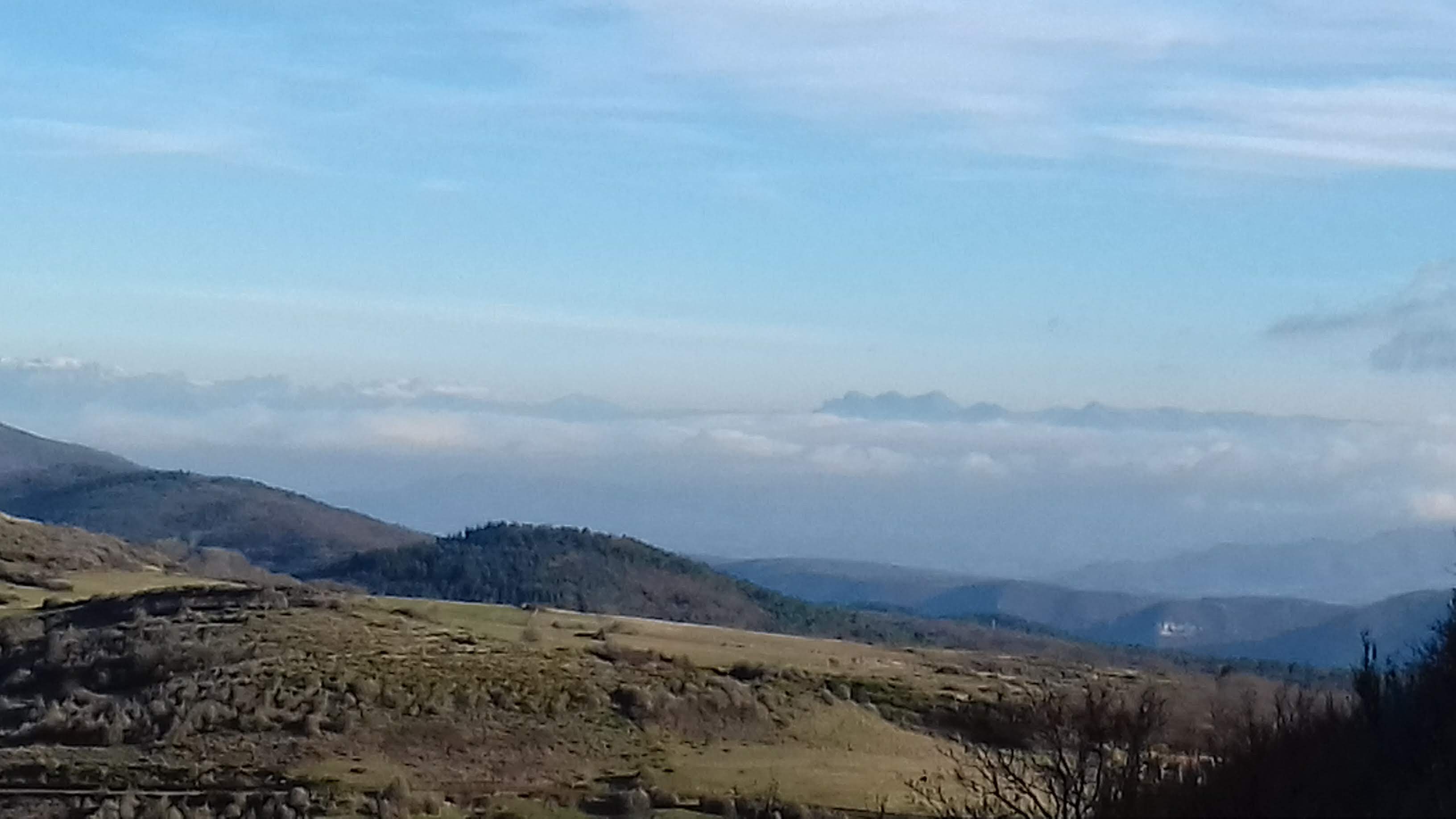 Photo n° 1 de l'avis de Coco.e fait le 01/01/2019 à 10:57