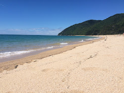 Photo de Whariwharangi Beach zone sauvage