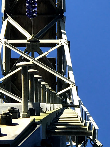 Nature Preserve «Green Swamp Wilderness Preserve», reviews and photos, 28057 FL-471, Webster, FL 33597, USA