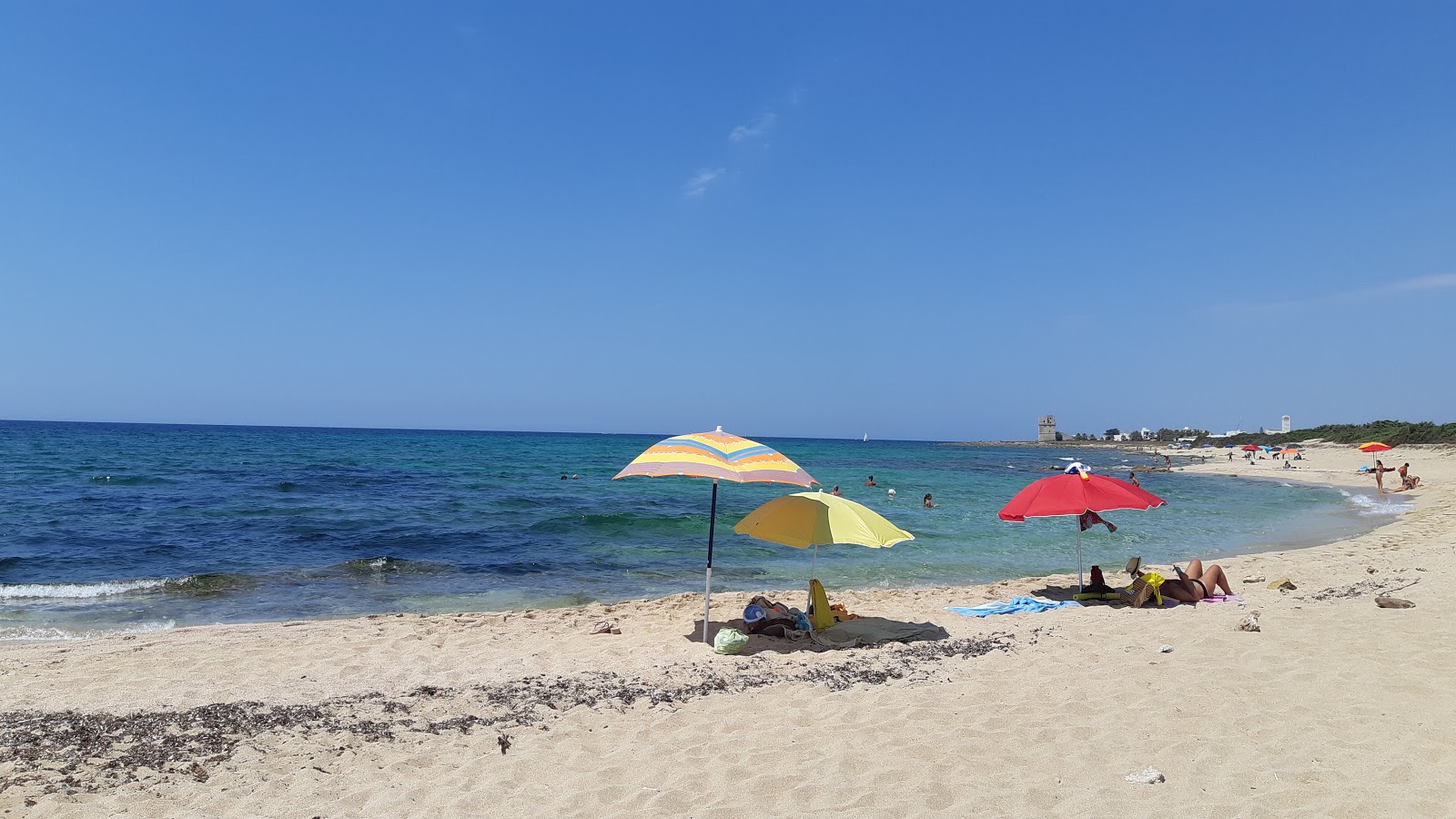 Spiaggia di Punta Cacata'in fotoğrafı mavi saf su yüzey ile