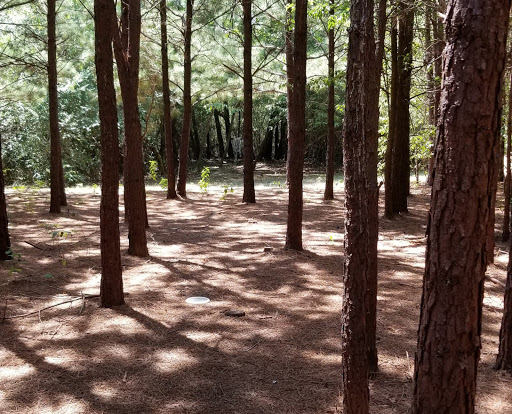 Golf Shop «Pine Valley Golf Course», reviews and photos, 9311 Old Tom Box Rd, Sherwood, AR 72120, USA