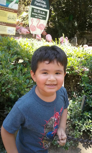 Clothing Store «Ross Dress for Less», reviews and photos, 4080 Madison St, Riverside, CA 92504, USA