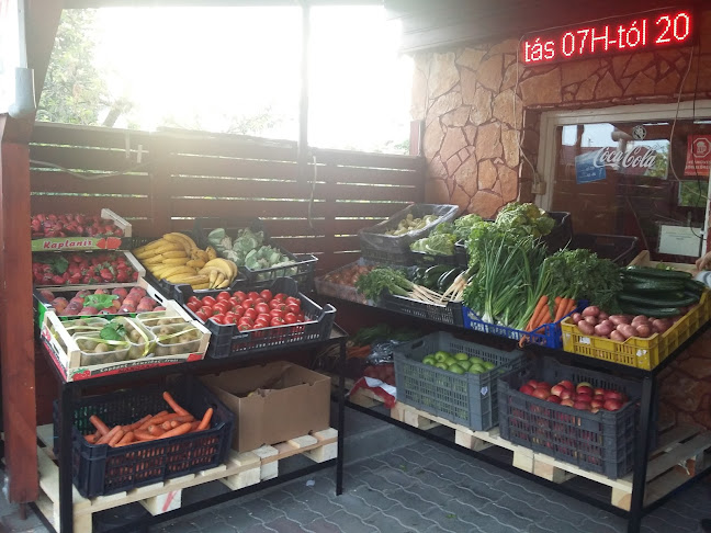 Picur Ital Bolt - Italbolt