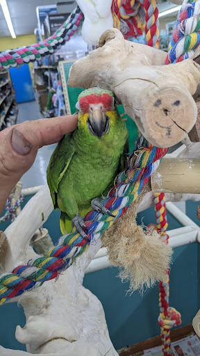 Pet Store «Leesburg Pet Center», reviews and photos, 959 N 14th St, Leesburg, FL 34748, USA