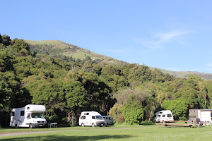 Little River Campground and Manaia Native Habitat