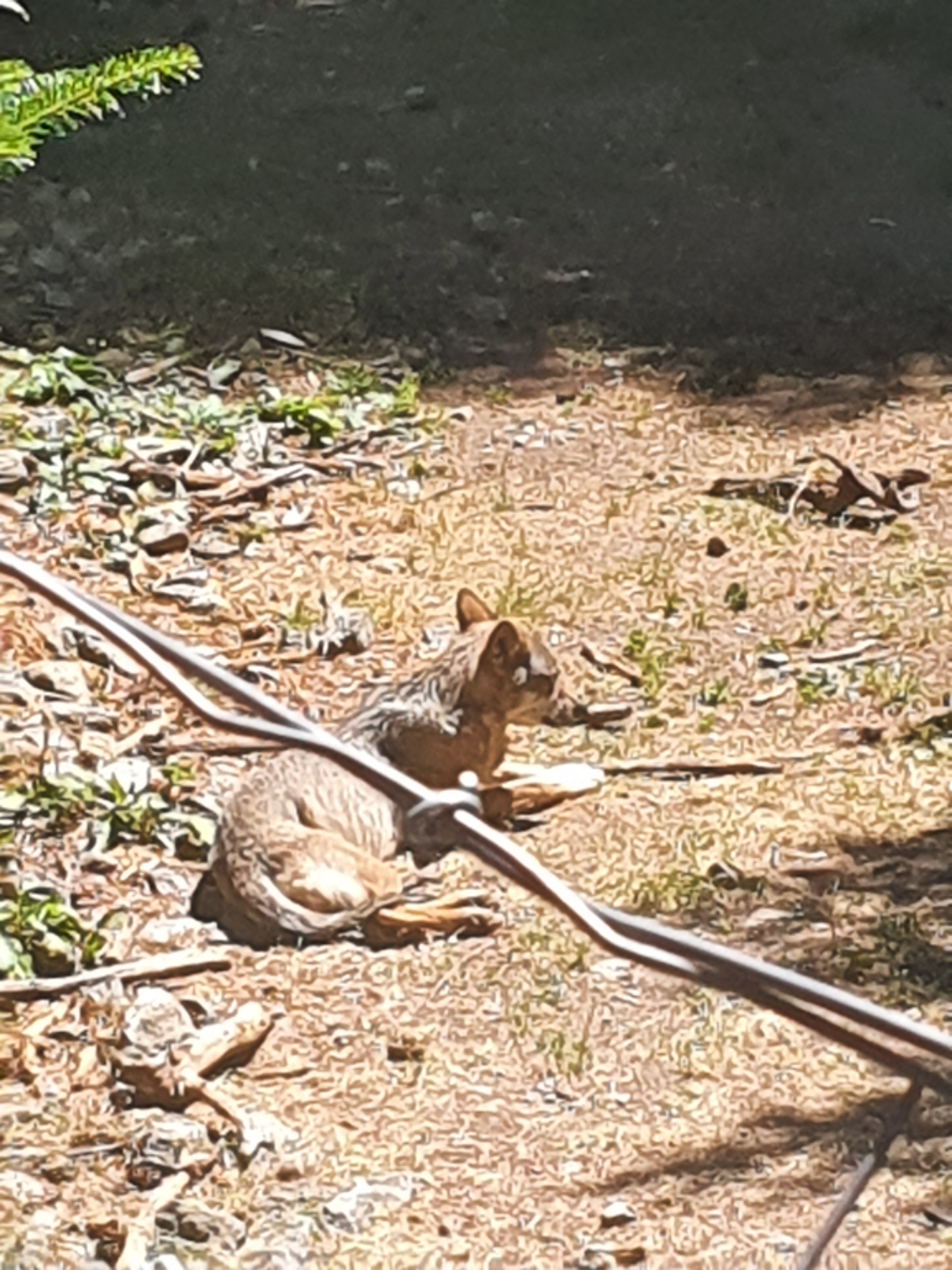 Photo n° 2 de l'avis de Krystel.a fait le 09/08/2023 à 06:36