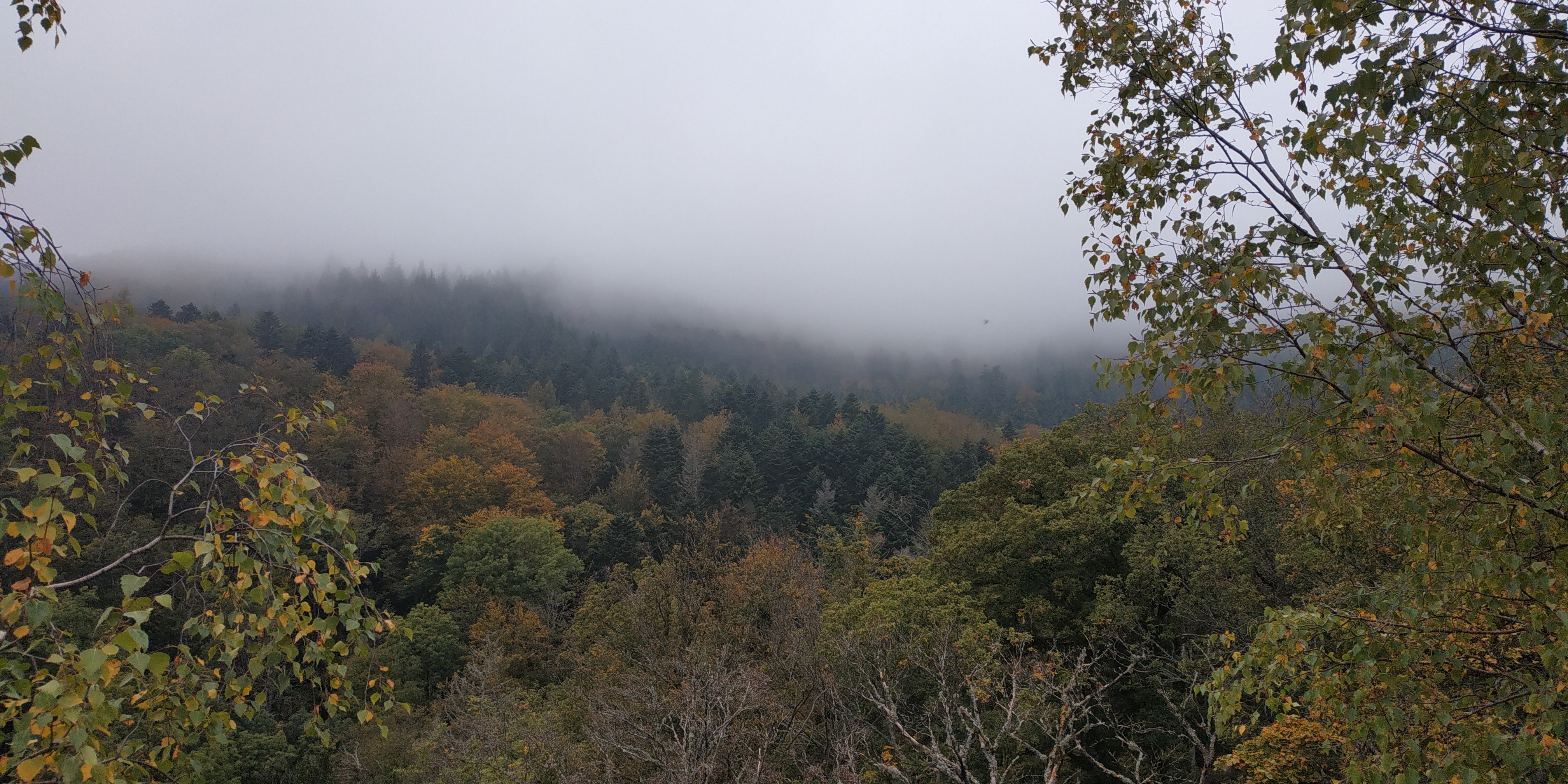 Photo n° 3 de l'avis de Sorti.u fait le 18/10/2021 à 08:32