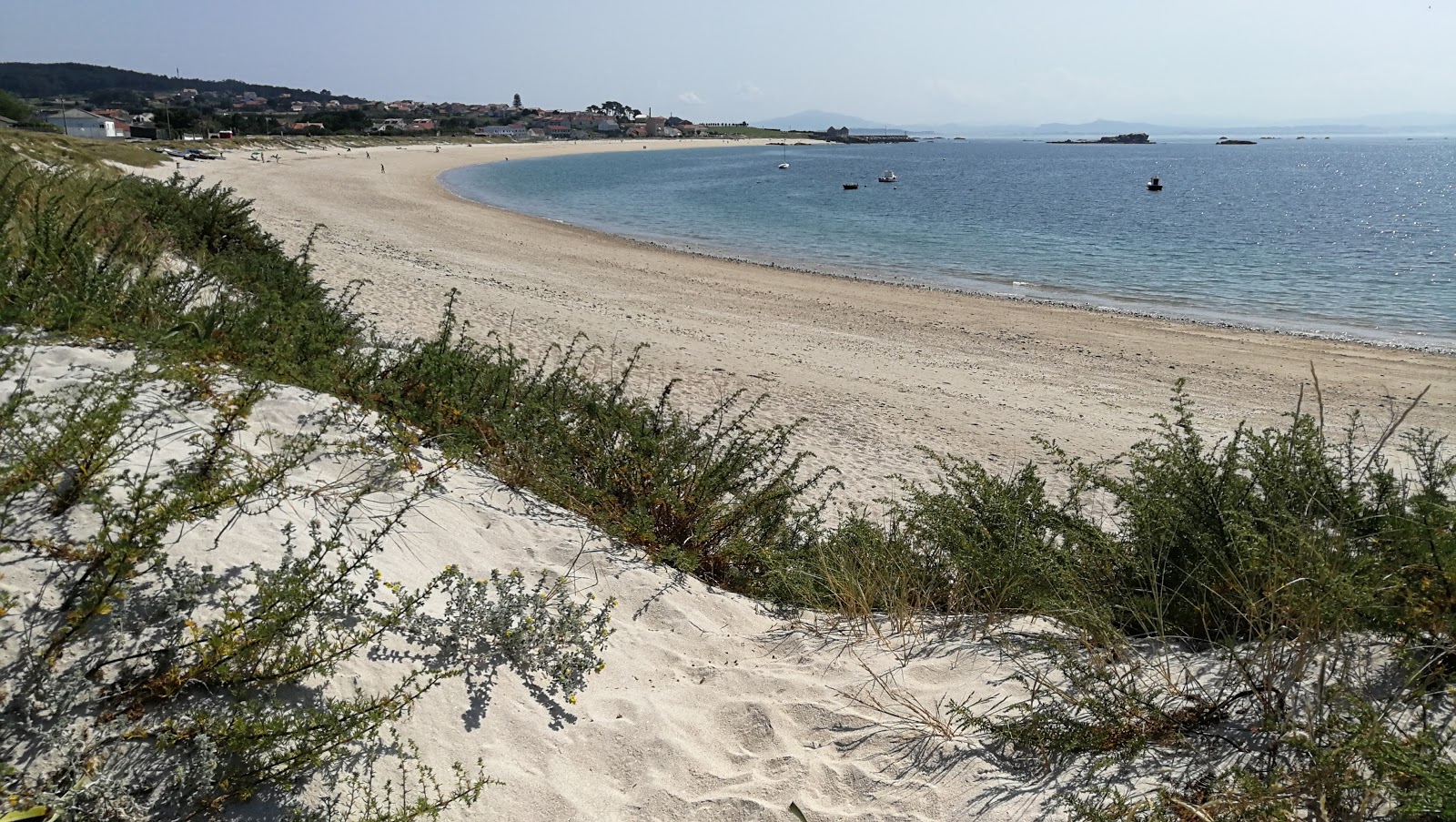 Photo de Castro beach et le règlement