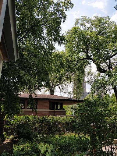 Book Store «Seminary Co-op Bookstore», reviews and photos, 5751 S Woodlawn Ave, Chicago, IL 60637, USA