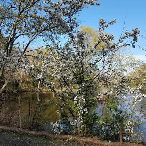 Golf Course «William J. Devine Golf Course at Franklin Park», reviews and photos, 1 Circuit Dr, Dorchester, MA 02121, USA